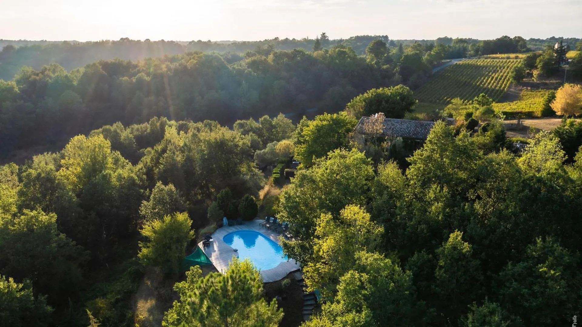 Les Hauts De Jeanvert - Le Chene - Piscine - Gaillac France