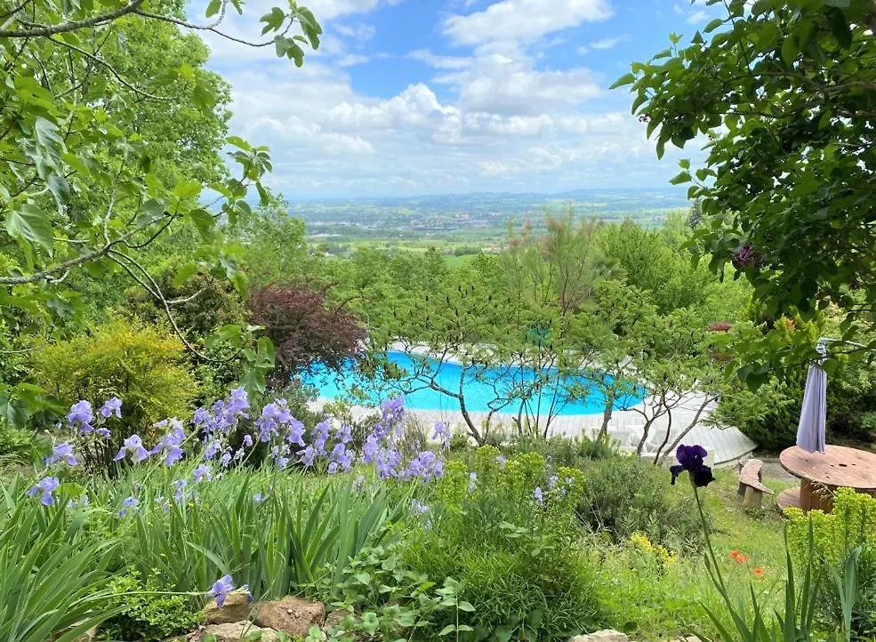 Les Hauts De Jeanvert - Le Chene - Piscine - Gaillac Hébergement de vacances