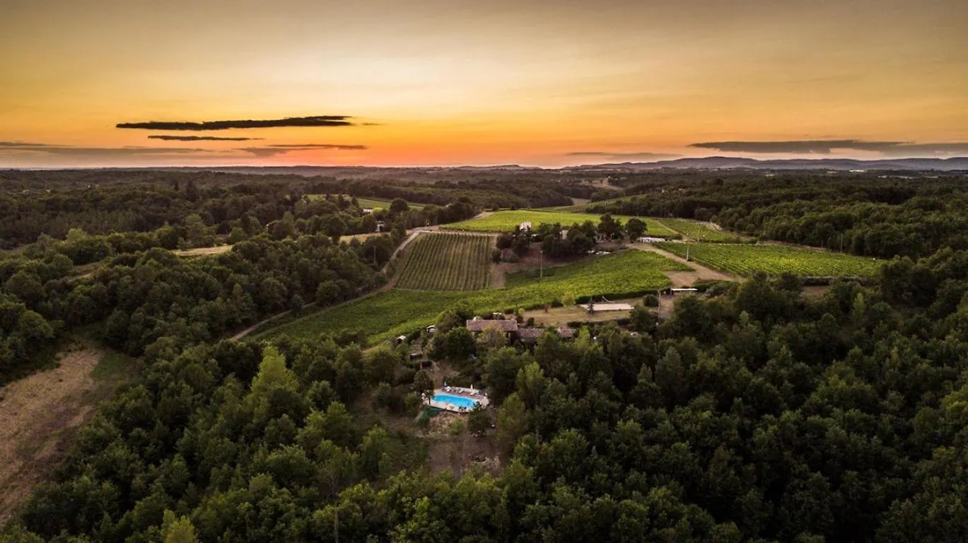 Hébergement de vacances Les Hauts De Jeanvert - Le Chene - Piscine - Gaillac